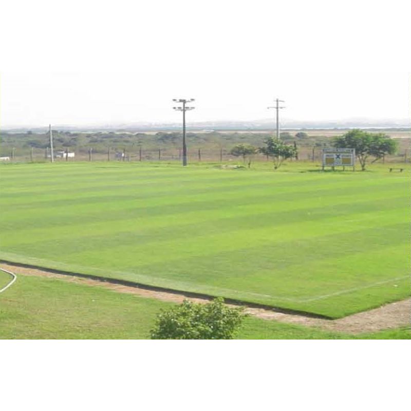 campo de futebol, reforma, manutenção, irrigação, drenagem, gramado, futebol, campo